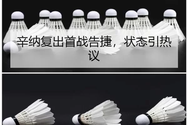xin-na-fu-chu-shou-zhan-gao-jie-zhuang-tai-yin-re-yi-2-706.jpg
