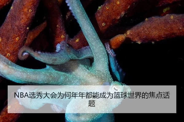 xuan-xiu-da-hui-wei-he-nian-nian-dou-neng-cheng-wei-lan-qiu-shi-jie-de-jiao-dian-hua-ti-1-883.jpg
